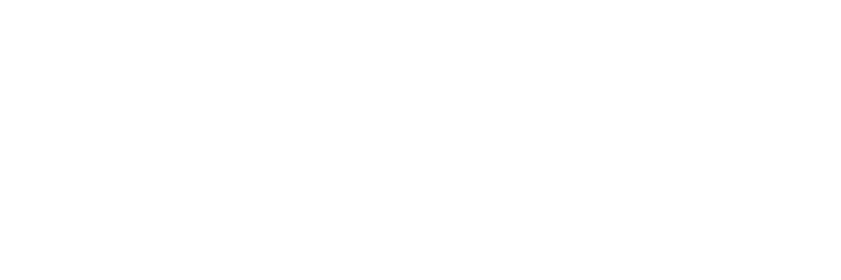 logo bianco
